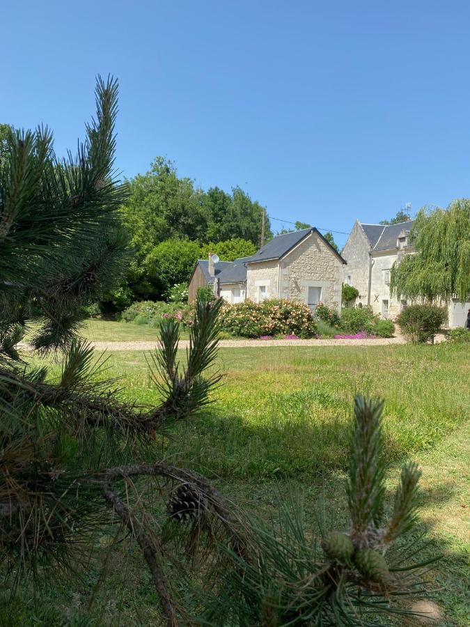 Gite De La Cale De La Clauderie Rigny-Ussé Exteriör bild